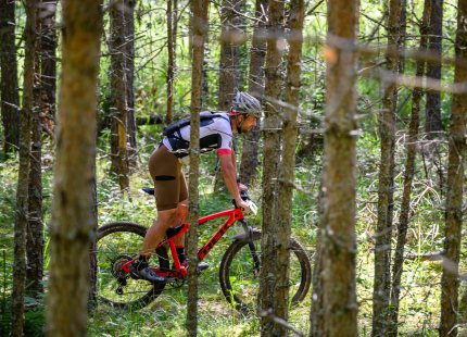 1. posma dienas kārtība – 19. aprīlis, Ķegums