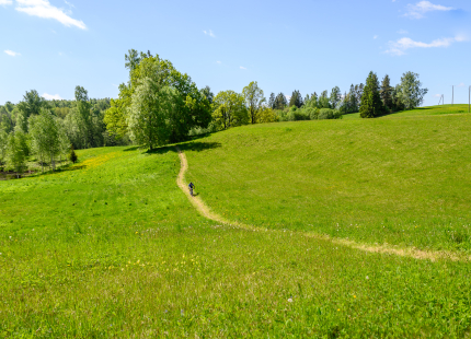 Vivus.lv MTB maratons 2026 | 2.posms, Talsi481