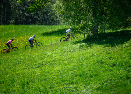 Vivus.lv MTB maratons 2026 | 2.posms, Talsi482