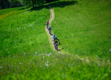 Vivus.lv MTB maratons 2026 | 2.posms, Talsi483