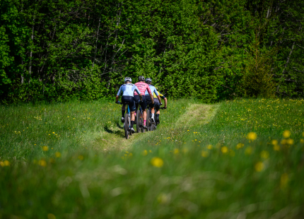 Vivus.lv MTB maratons 2026 | 2.posms, Talsi488