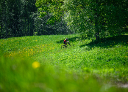 Vivus.lv MTB maratons 2026 | 2.posms, Talsi505