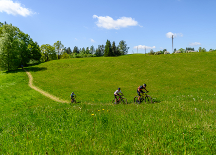 Vivus.lv MTB maratons 2026 | 2.posms, Talsi517