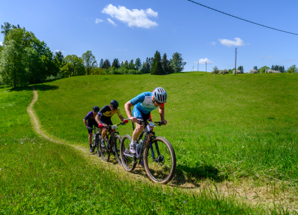 Vivus.lv MTB maratons 2026 | 2.posms, Talsi519