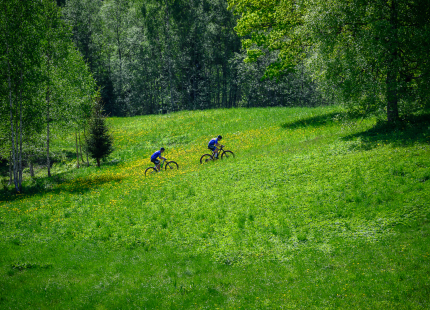 Vivus.lv MTB maratons 2026 | 2.posms, Talsi529