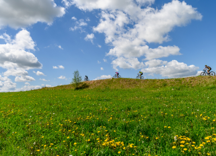 Vivus.lv MTB maratons 2026 | 2.posms, Talsi94