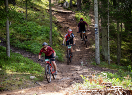 Vivus.lv MTB maratons 2026 | 3.posms, Tukums413
