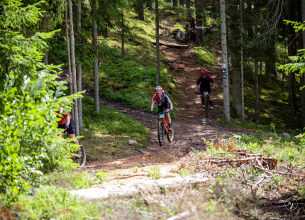 Vivus.lv MTB maratons 2026 | 3.posms, Tukums414