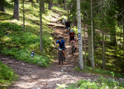 Vivus.lv MTB maratons 2026 | 3.posms, Tukums454