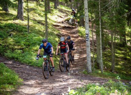 Vivus.lv MTB maratons 2026 | 3.posms, Tukums456