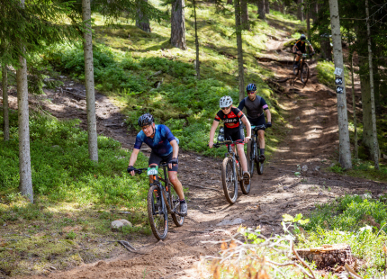 Vivus.lv MTB maratons 2026 | 3.posms, Tukums457