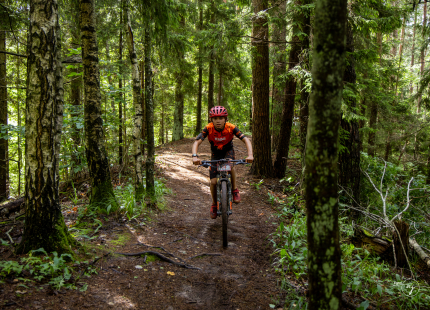Vivus.lv MTB maratons 2026 | 3.posms, Tukums513