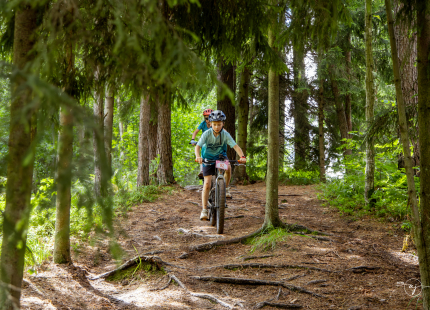 Vivus.lv MTB maratons 2026 | 3.posms, Tukums591