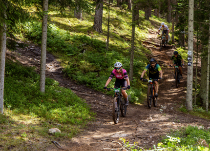 Vivus.lv MTB maratons 2026 | 3.posms, Tukums861