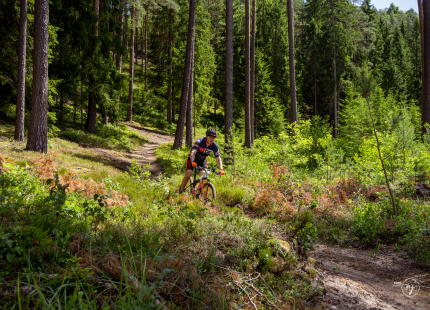 Vivus.lv MTB maratons 2026 | 3.posms, Tukums916