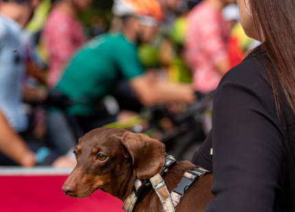 Vivus.lv MTB maratons 4.posms | Jaunpiebalga8