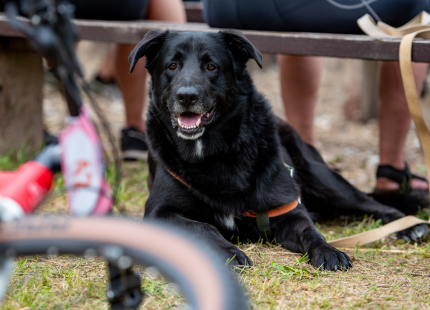 Vivus.lv MTB maratons 4.posms | Jaunpiebalga131