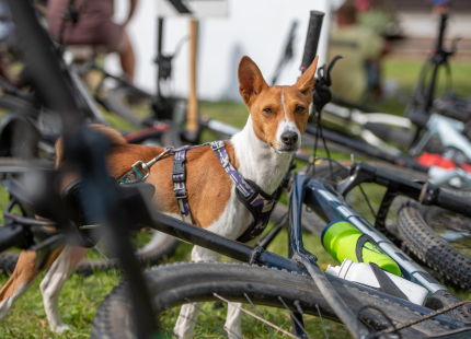 Vivus.lv MTB maratons 4.posms | Jaunpiebalga636