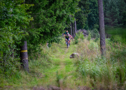 Vivus.lv MTB maratons 2026 | 4.posms, Jaunpiebalga67