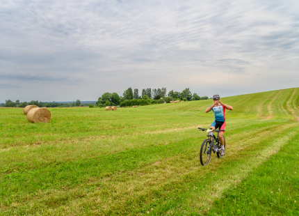 Vivus.lv MTB maratons 2026 | 4.posms, Jaunpiebalga164