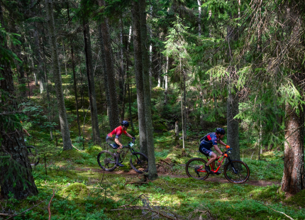 Vivus.lv MTB maratons 2026 | 4.posms, Jaunpiebalga308