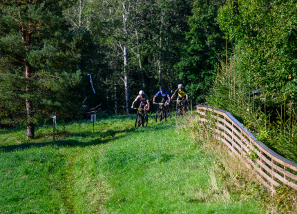 Vivus.lv MTB maratons 2026 | Ape/Vastse Roosa125