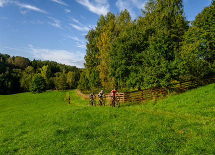Vivus.lv MTB maratons 2026 | Ape/Vastse Roosa130