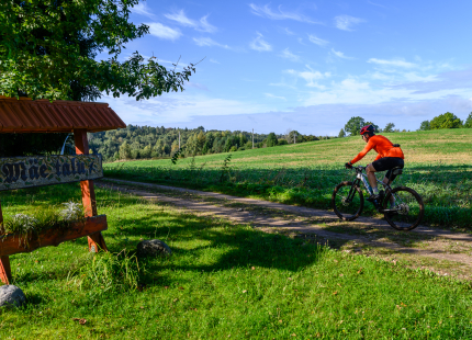 Vivus.lv MTB maratons 2026 | Ape/Vastse Roosa242