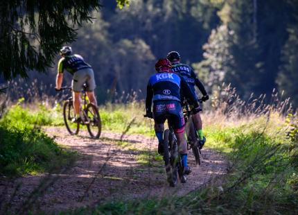 Vivus.lv MTB maratons 2026 | Ape/Vastse Roosa250