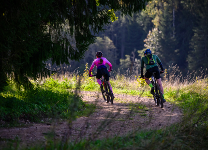 Vivus.lv MTB maratons 2026 | Ape/Vastse Roosa270