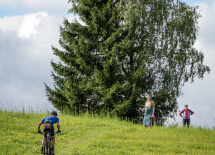 Vivus.lv MTB maratons 2026 | Ape/Vastse Roosa134