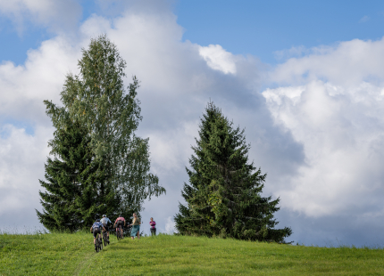 Vivus.lv MTB maratons 2026 | Ape/Vastse Roosa143