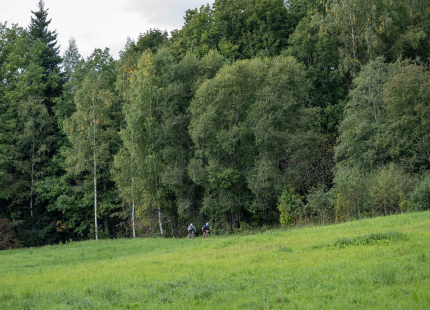 Vivus.lv MTB maratons 2026 | Ape/Vastse Roosa237