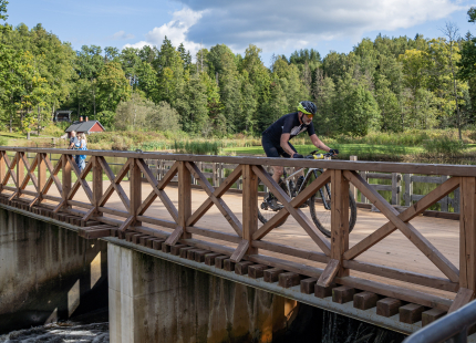 Vivus.lv MTB maratons 2026 | Ape/Vastse Roosa544