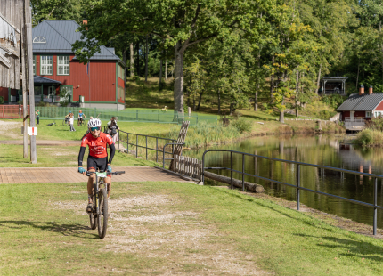 Vivus.lv MTB maratons 2026 | Ape/Vastse Roosa551