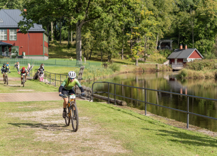 Vivus.lv MTB maratons 2026 | Ape/Vastse Roosa552