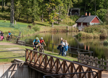 Vivus.lv MTB maratons 2026 | Ape/Vastse Roosa558