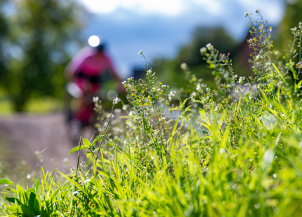 Vivus.lv MTB maratons 5.posms | Ape/Vastse Roosa141