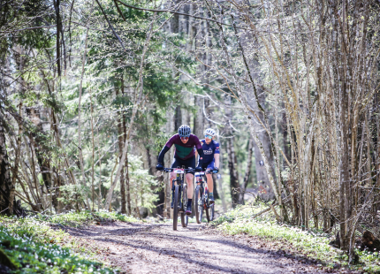 Vivus.lv MTB Maratons 2023 1. posms Tukums850