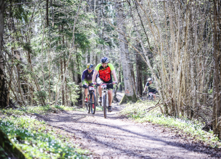 Vivus.lv MTB Maratons 2023 1. posms Tukums910