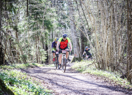 Vivus.lv MTB Maratons 2023 1. posms Tukums911