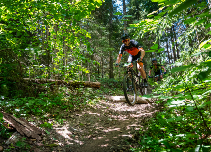 Vivus.lv MTB Maratons 2023, 4. posms Talsos603