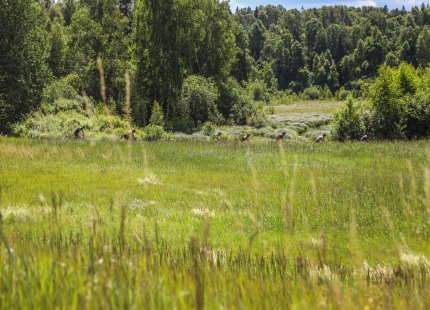 Vivus.lv MTB Maratons 2023, 4. posms Talsi430
