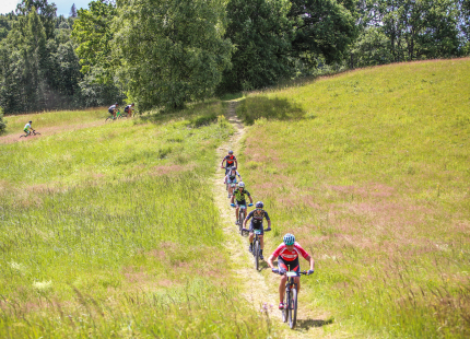 Vivus.lv MTB Maratons 2023, 4. posms Talsi1073