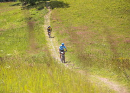 Vivus.lv MTB Maratons 2023, 4. posms Talsi1077