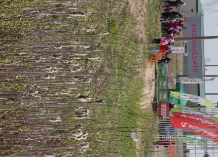 Vivus.lv MTB maratons 1.posms | Ķegums351