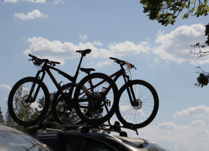 Vivus.lv MTB Maratons 2.posms Opekalns 283