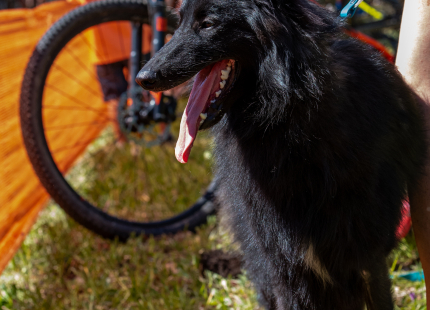 Vivus.lv MTB Maratons 2.posms | Opekalns12