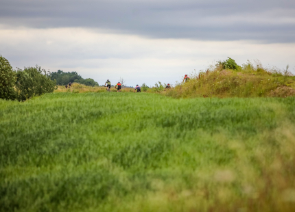 Vivus.lv MTB Maratons | 5.posms Kamparkalns378