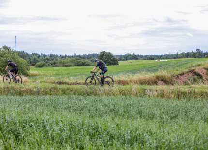 Vivus.lv MTB Maratons | 5.posms Kamparkalns607